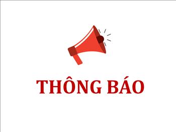 Báo cáo tài chính quý II năm 2024 
